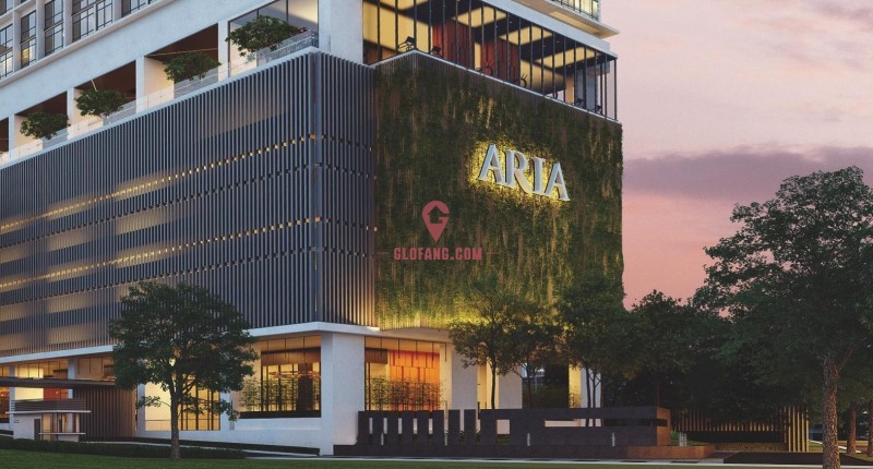 ¡ַֻͥARIAʹݿɴ5