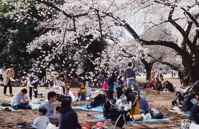 日本东京闹市中一片宁静之地 新宿御苑 海外房产新闻 海外置业资讯 外房海外房产网