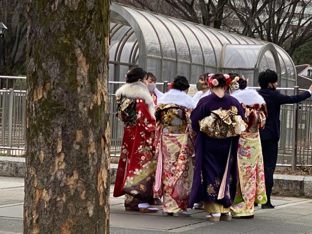 今天是日本最有仪式感 最养眼的一天 海外房产新闻 海外置业资讯 外房海外房产网 今天是日本最有仪式感 最养眼的一天 海外房产新闻 海外置业资讯 外房海外房产网