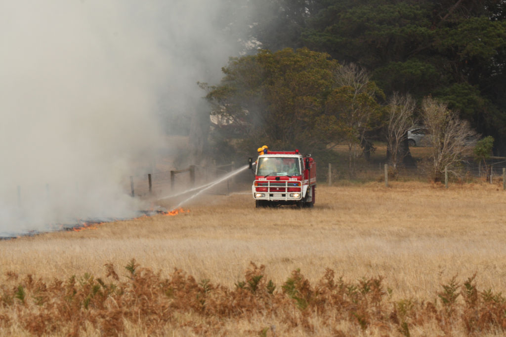 While severe bushfires are less likely, recent growth means grass fires are a risk.