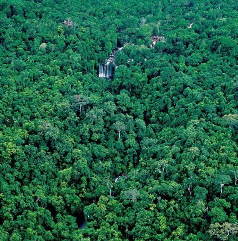 微信图片_20210802101448