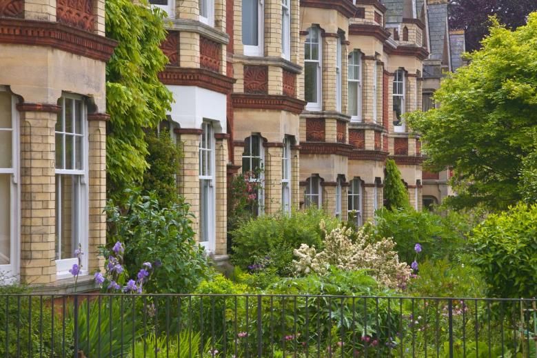 这意味着及早采取行动的卖家可能会从价格上涨中获益