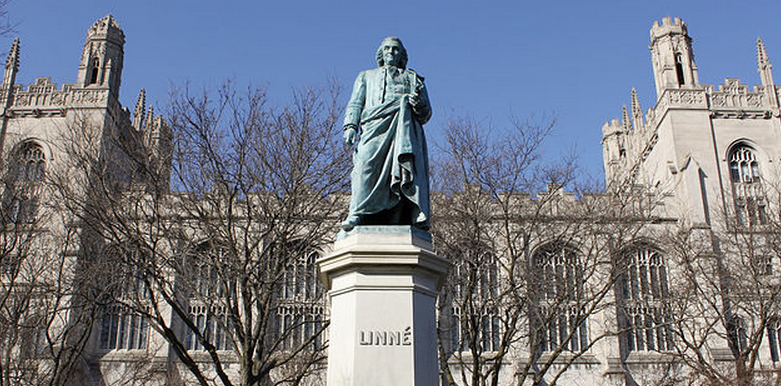 美国芝加哥大学世界排名，费用和课程详情_实用信息_资讯_外房网