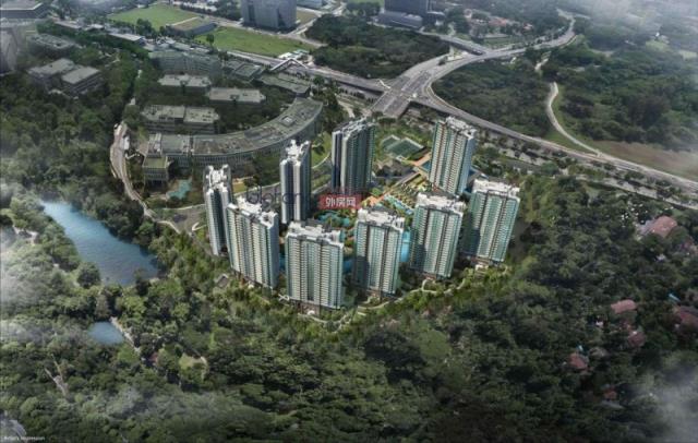 �¼���С��ȿƼ�԰�����͹�Ԣ-Normanton Park�����47699