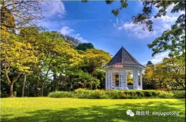 新加坡第10邮区豪宅项目,乌节三翠林，编号21667