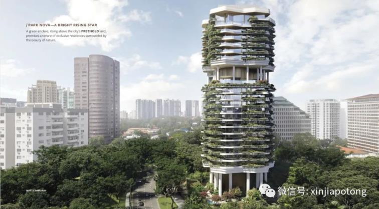 新加坡版凡尔赛，超级豪宅项目-柏皓闪亮登场，编号48822