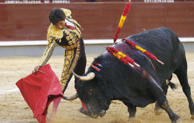 西班牙斗牛（西班牙斗牛比赛介绍）_实用信息_资讯_外房网
