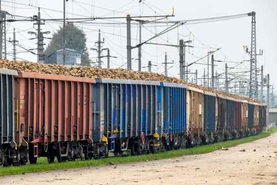 荷兰病_荷兰病产生的原因_实用信息_资讯_外房网