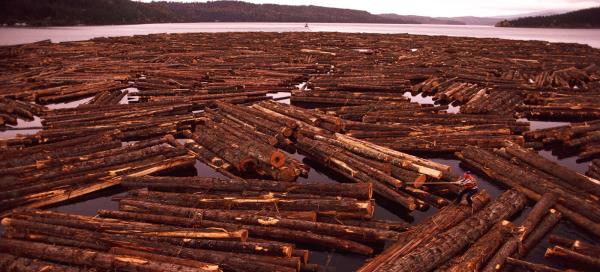 U.S. Home Builders Not Happy with Biden's Plan to Block Alaska Logging