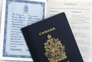 加拿大永久居民证（加拿大枫叶卡）