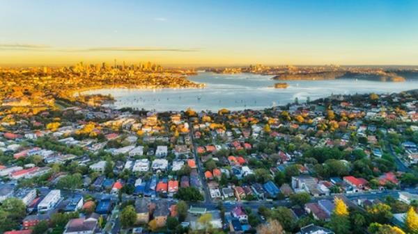 Wealthy Eastern suburbs of Sydney city around Harbour in aerial view with soft morning light and blue sky.