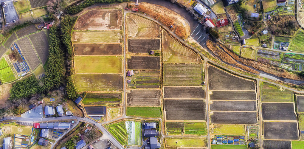 日本官方土地价格两年来首次上涨_海外房产新闻_资讯_外房网
