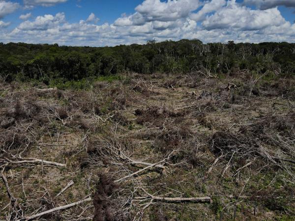 An aerial view shows a deforested plot of the Amazon rainforest in Manaus