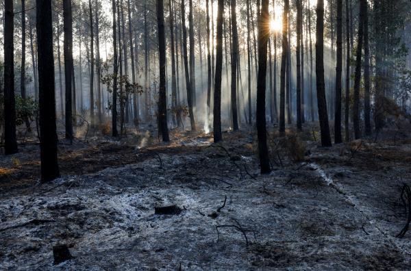 Wildfires continue to spread in the Gironde region