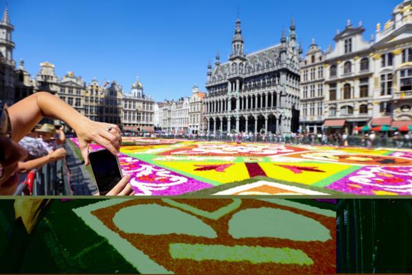 Flower carpet in Brussels