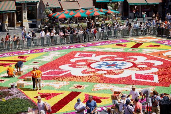 Flower carpet in Brussels