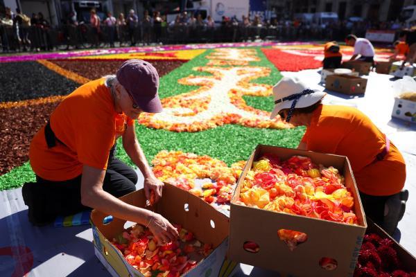Flower carpet in Brussels