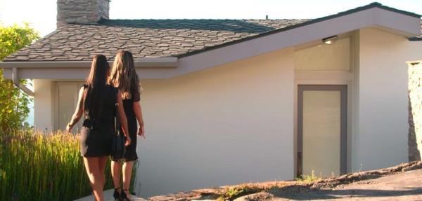 Shrubs trimmed almost to the point of oblivion.