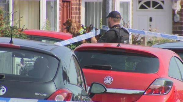 'Rummage search' dogs