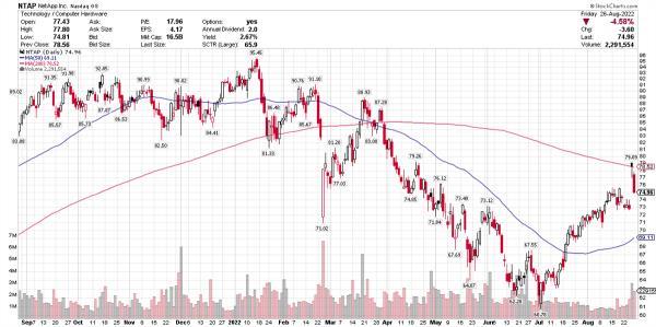 Can NetApp Resume Its Rally After Strong Earnings Guidance? 