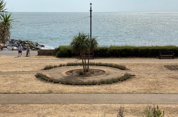 People walk on parched grass in public gardens along the sea front in Felixstowe