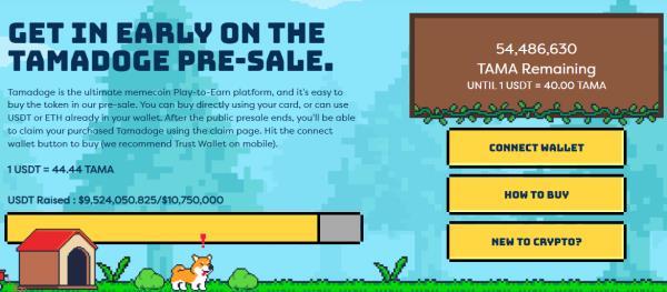 Should I buy a tamadoge?