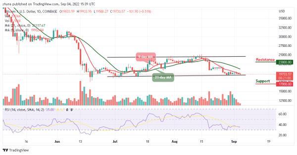 BTC remains below $20,000. Tama to the Moon!