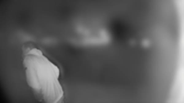 Detectives investigating the murder of Olivia Pratt-Korbel in Liverpool&nbsp;have released footage of another man seen in the area as they continue to try to hunt down her killer. Pic: Merseyside Police