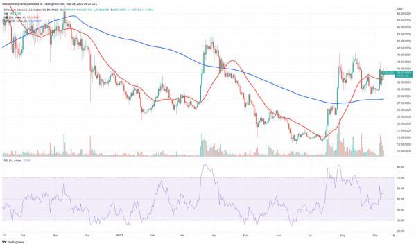Ethereum Classic (ETC) price chart.