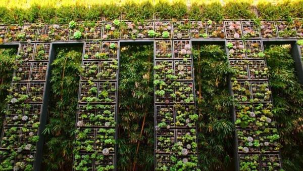 Impressive living wall