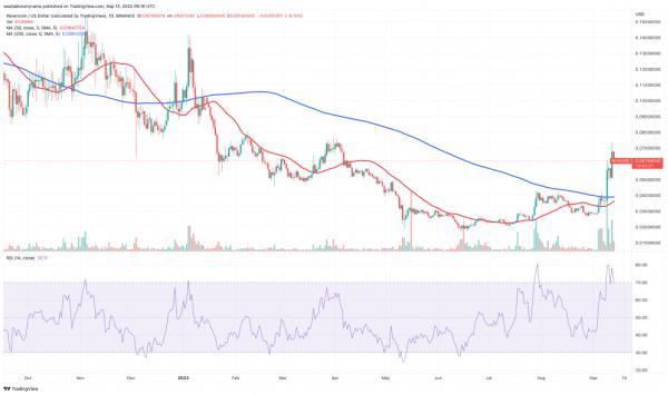 Ravencoin (RVN) Price Chart - 5 Best Cryptocurrencies to Buy at Cheap Prices.