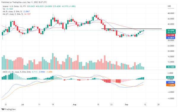 Solana Aims to Break Higher Resistance, Makes Huge Profits on TAMA