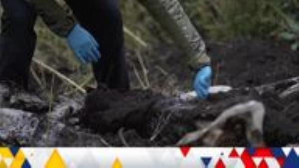 The police team start work digging up the bodies