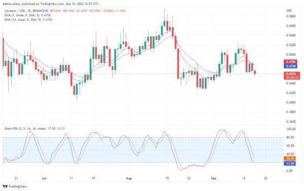 Cardano Resumes Downtrend, Madoge Surges