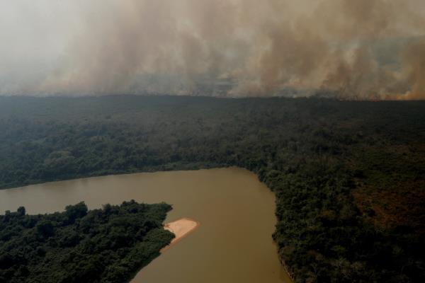 The Wider Image: In Brazil, it's not just the Amazon that's burning. The world's largest wetland is on fire too