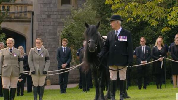 The Queen's favourite horse, Emma