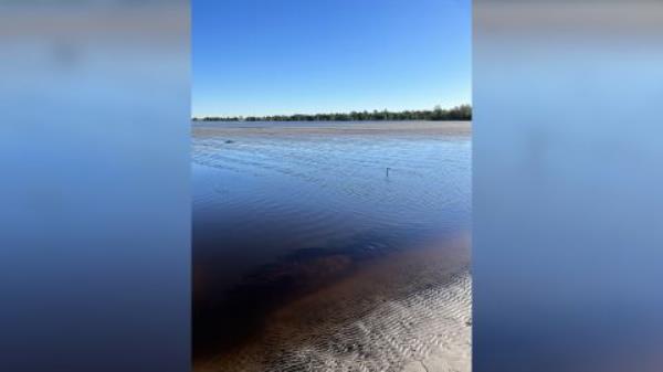 Flooded and damaged Strawberry fields at Wish Farms in Duette, FL.
