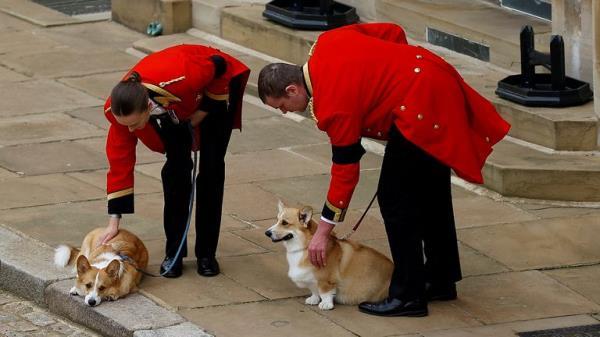 WINDSOR (Reuters) - Queen Elizabeth's black pony Emma watched the monarch's funeral procession pass by in the grounds of Windsor Castle, where it was held on a lead by a groomsman.