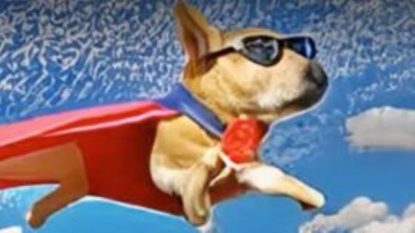 meta AI text to video