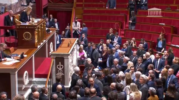 Carlos Martens Bilongo was questioning the French government's migration policy when another MP shouted "Go back to Africa"