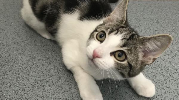 Hope, who has been revealed as neither male or female