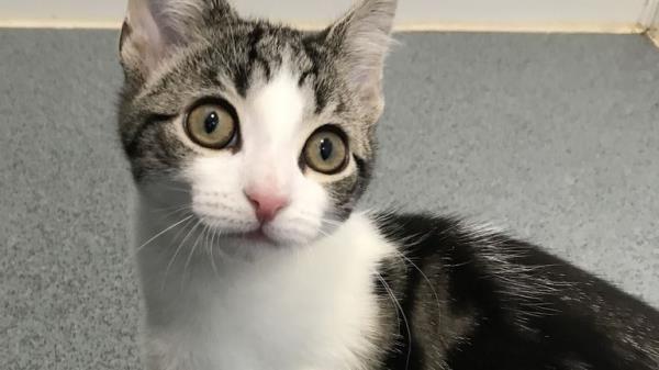 Hope, who has been revealed as neither male or female