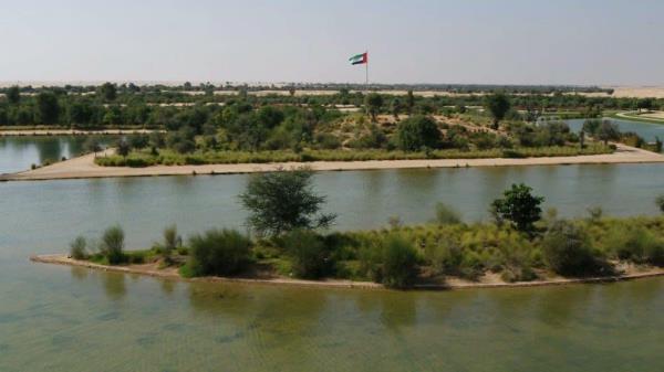 Dubai desert tourism