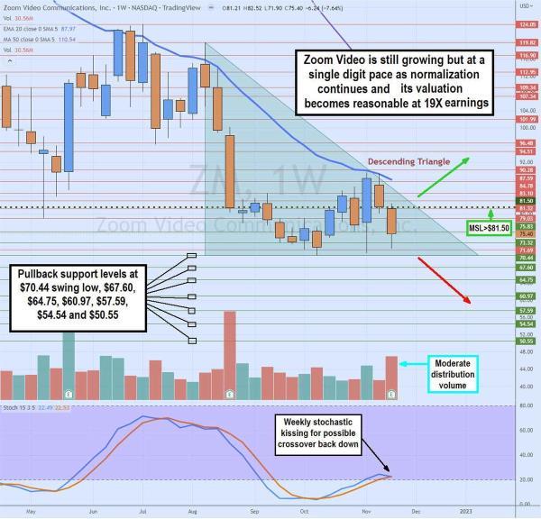 Zoom Video Continues to Work Through Normalization 