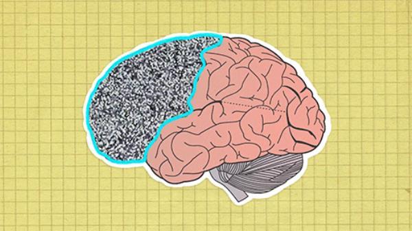 Daniel Kahneman's two brain theory