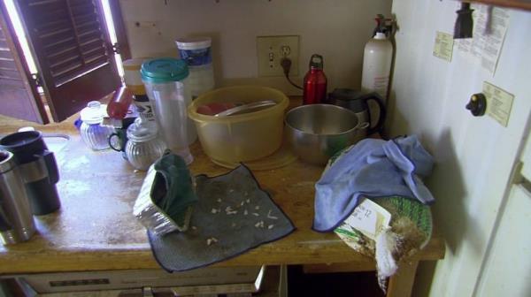 The famous stinky turkey and other detritus on "Flip or Flop."