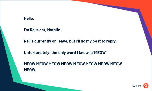 funny out-of-office message from pet example