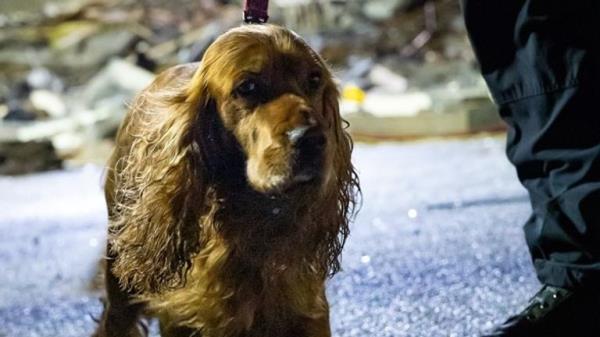 At least three people have died in an explosion at a three-storey tower block in Jersey. Pic: Government of Jersey