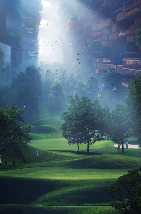 The Line, MEOM, Saudi Arabia