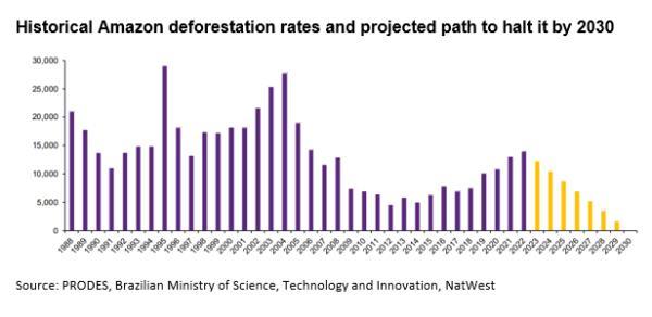 Amazon deforestation rates
